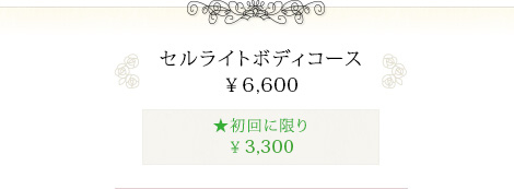 セルライトボディコース ¥6,600
