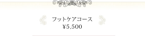 フットケアコース
¥5,500