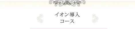 イオン導入コース
